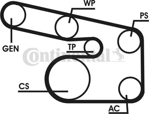 CONTITECH 6PK1900D1 - Jeu de courroies trapézoïdales à nervures cwaw.fr