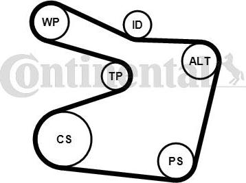 CONTITECH 6PK1555K1 - Jeu de courroies trapézoïdales à nervures cwaw.fr