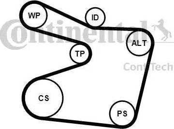 Continental 6PK1555K1 - Jeu de courroies trapézoïdales à nervures cwaw.fr