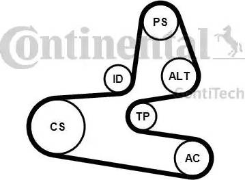 Continental 6PK1564K1 - Jeu de courroies trapézoïdales à nervures cwaw.fr