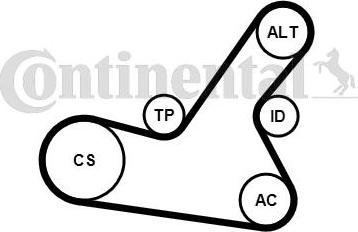 CONTITECH 6PK1564K2 - Jeu de courroies trapézoïdales à nervures cwaw.fr