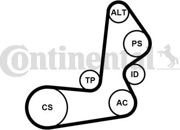 CONTITECH 6PK1515K1 - Jeu de courroies trapézoïdales à nervures cwaw.fr