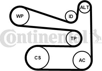 CONTITECH 6PK1693K1 - Jeu de courroies trapézoïdales à nervures cwaw.fr