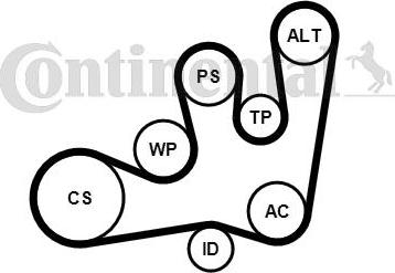 Continental 6PK1642WP1 - Pompe à eau+Jeu de courroie trapézoïdale à nervures cwaw.fr