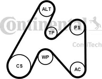 Continental 6PK1660K3 - Jeu de courroies trapézoïdales à nervures cwaw.fr