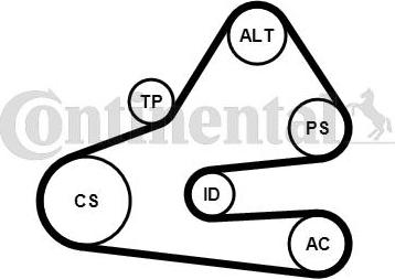 CONTITECH 6 PK 1613 K1 - Jeu de courroies trapézoïdales à nervures cwaw.fr