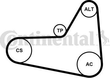 CONTITECH 6PK1054K1 - Jeu de courroies trapézoïdales à nervures cwaw.fr