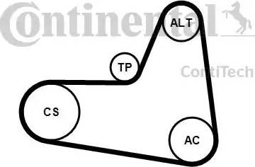 Continental 6PK1045K2 - Jeu de courroies trapézoïdales à nervures cwaw.fr