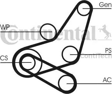 Continental 6PK1059 ELAST T2 - Jeu de courroies trapézoïdales à nervures cwaw.fr