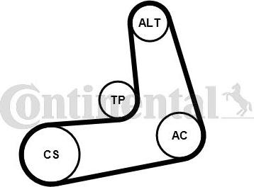 CONTITECH 6PK1005K2 - Jeu de courroies trapézoïdales à nervures cwaw.fr