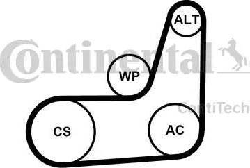 Continental 6PK1029 ELAST T2 - Jeu de courroies trapézoïdales à nervures cwaw.fr