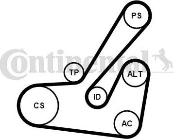 CONTITECH 6PK1145K2 - Jeu de courroies trapézoïdales à nervures cwaw.fr