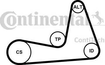 Continental 6PK1130K1 - Jeu de courroies trapézoïdales à nervures cwaw.fr