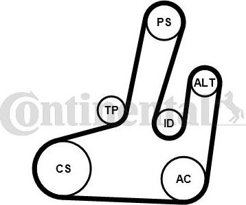 CONTITECH 6PK1845K1 - Jeu de courroies trapézoïdales à nervures cwaw.fr