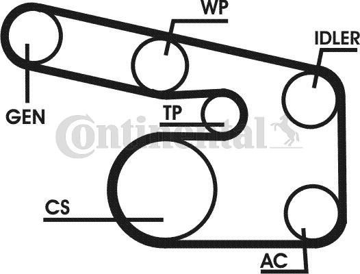 CONTITECH 6PK1863D1 - Jeu de courroies trapézoïdales à nervures cwaw.fr