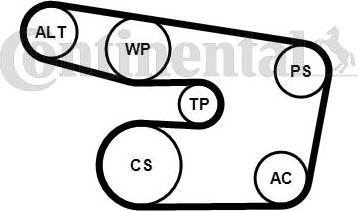 CONTITECH 6PK1873WP4 - Pompe à eau+Jeu de courroie trapézoïdale à nervures cwaw.fr