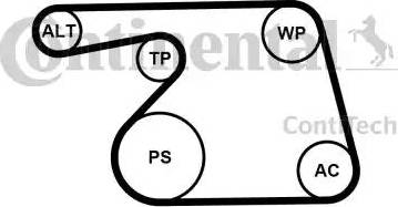 Continental 6PK1318K2 - Jeu de courroies trapézoïdales à nervures cwaw.fr