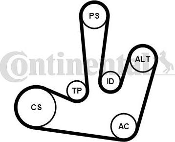 CONTITECH 6PK1795K1 - Jeu de courroies trapézoïdales à nervures cwaw.fr