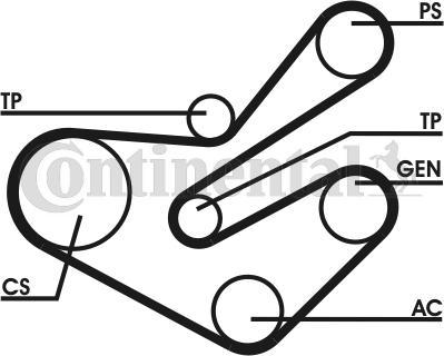 CONTITECH 6PK1740D1 - Jeu de courroies trapézoïdales à nervures cwaw.fr