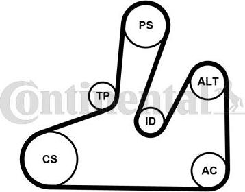CONTITECH 6PK1740K4 - Jeu de courroies trapézoïdales à nervures cwaw.fr