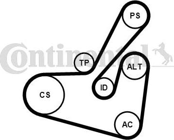 CONTITECH 6PK1750K1 - Jeu de courroies trapézoïdales à nervures cwaw.fr