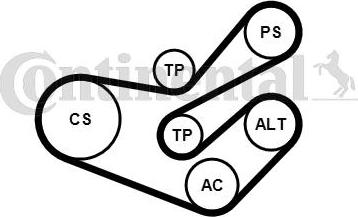 CONTITECH 6PK1750K3 - Jeu de courroies trapézoïdales à nervures cwaw.fr