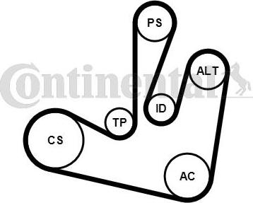 CONTITECH 6PK1750K2 - Jeu de courroies trapézoïdales à nervures cwaw.fr