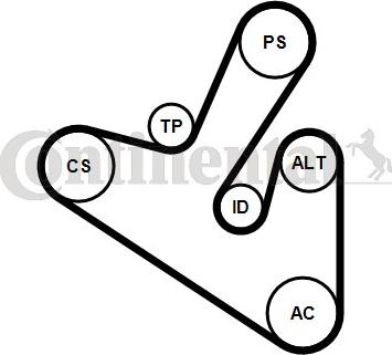 CONTITECH 6PK1710K1 - Jeu de courroies trapézoïdales à nervures cwaw.fr