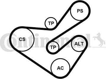 CONTITECH 6PK1733K5 - Jeu de courroies trapézoïdales à nervures cwaw.fr