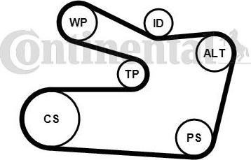 CONTITECH 6PK1733WP1 - Pompe à eau+Jeu de courroie trapézoïdale à nervures cwaw.fr