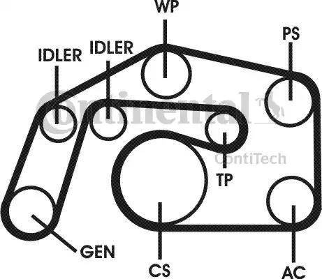 Continental 6PK2495D1 - Jeu de courroies trapézoïdales à nervures cwaw.fr