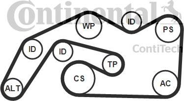 CONTITECH 6 PK 2490 K1 - Jeu de courroies trapézoïdales à nervures cwaw.fr