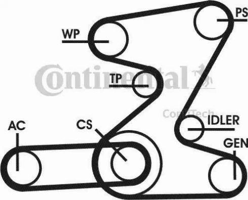 Continental 6PK2080D2 - Courroie trapézoïdale à nervures cwaw.fr