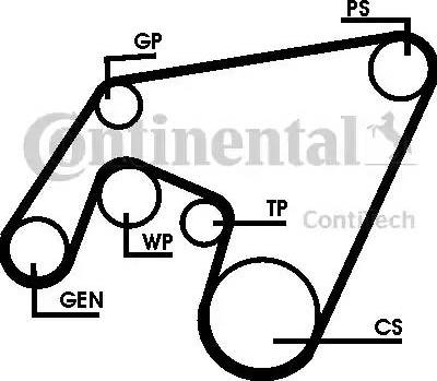 Continental 6PK2264D1 - Jeu de courroies trapézoïdales à nervures cwaw.fr