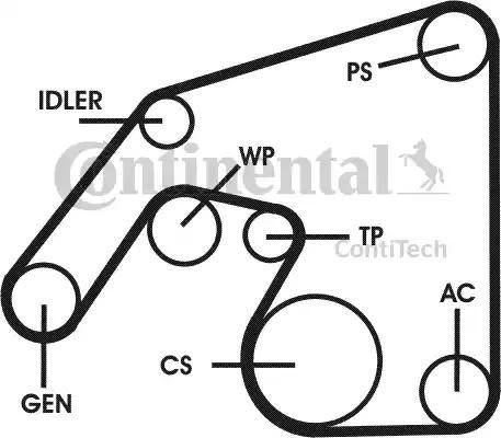 Continental 6PK2260D1 - Jeu de courroies trapézoïdales à nervures cwaw.fr