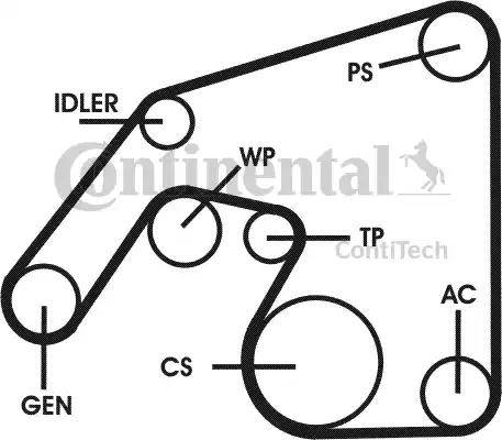 Continental 6PK2260D3 - Jeu de courroies trapézoïdales à nervures cwaw.fr