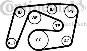 Continental 6PK2260K1 - Jeu de courroies trapézoïdales à nervures cwaw.fr