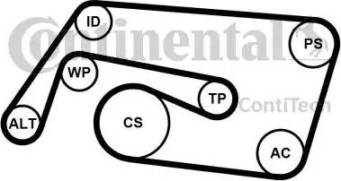 Continental 6PK2260K2 - Jeu de courroies trapézoïdales à nervures cwaw.fr