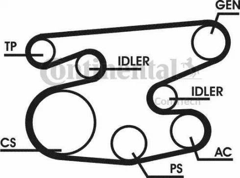 Continental 6PK2215D1 - Jeu de courroies trapézoïdales à nervures cwaw.fr