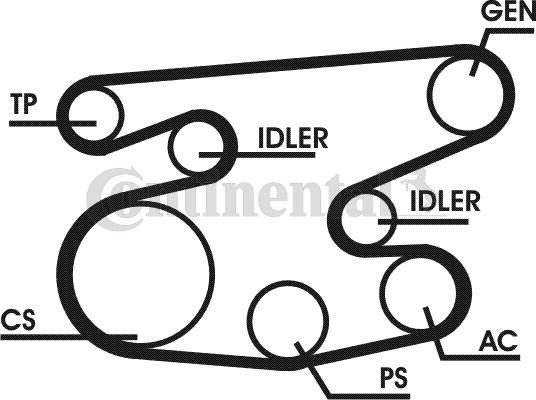 CONTITECH 6PK2236D1 - Jeu de courroies trapézoïdales à nervures cwaw.fr