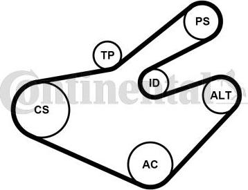 Continental 7PK1795WP1 - Pompe à eau+Jeu de courroie trapézoïdale à nervures cwaw.fr