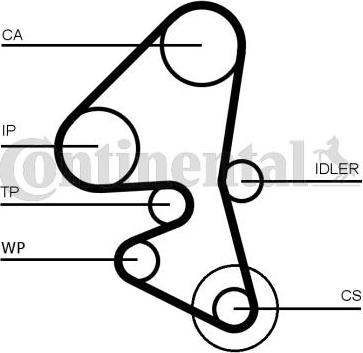 CONTITECH CT 1162 WP5 - Pompe à eau + kit de courroie de distribution cwaw.fr