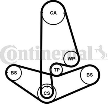 Continental CT799K2PRO - Kit de distribution cwaw.fr