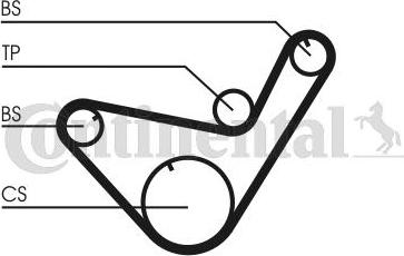 CONTITECH CT714K1 - Kit de distribution cwaw.fr