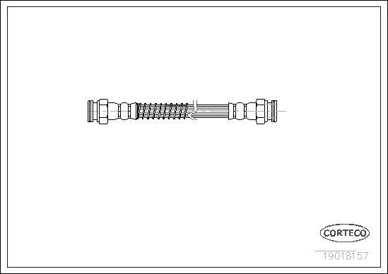 Corteco 19018157 - Flexible de frein cwaw.fr