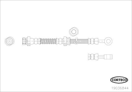 Corteco 19036844 - Flexible de frein cwaw.fr