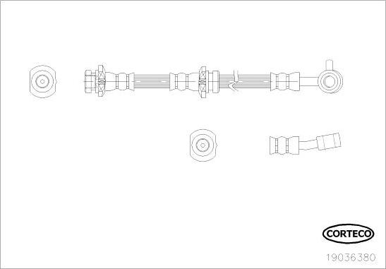 Corteco 19036380 - Flexible de frein cwaw.fr