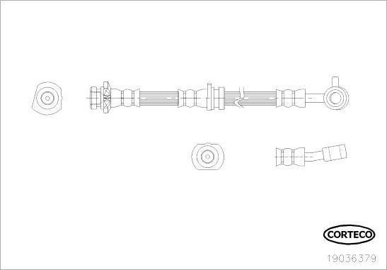 Corteco 19036379 - Flexible de frein cwaw.fr