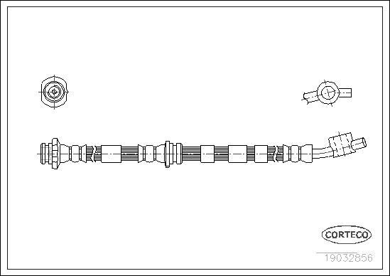 Corteco 19032856 - Flexible de frein cwaw.fr