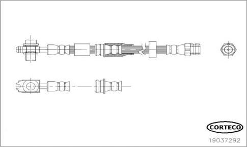 Corteco 19037292 - Flexible de frein cwaw.fr